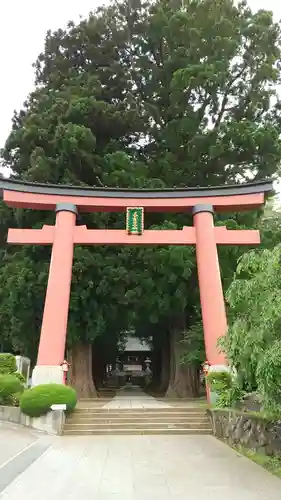 河口浅間神社の鳥居