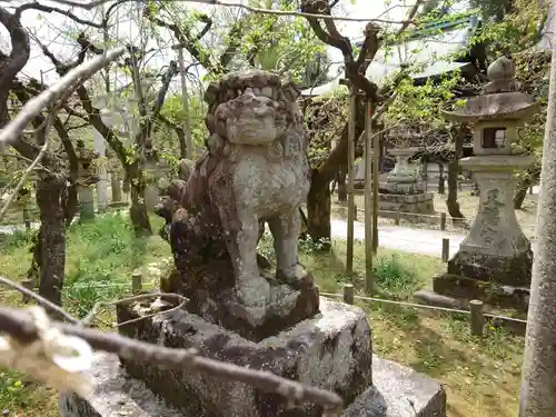 北野天満宮の狛犬