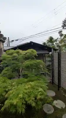 薬薗寺(京都府)