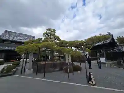 花岳寺(兵庫県)
