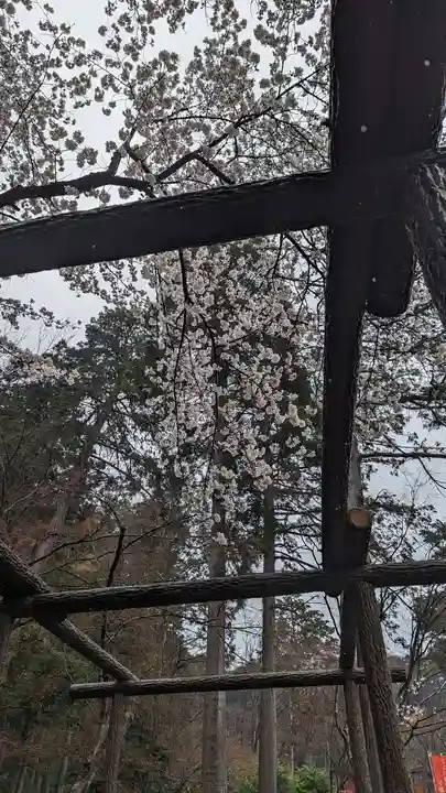 大原野神社(京都府)