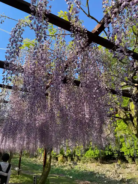 和氣神社(和気神社)(岡山県)