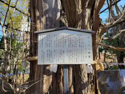 稲毛神社の歴史