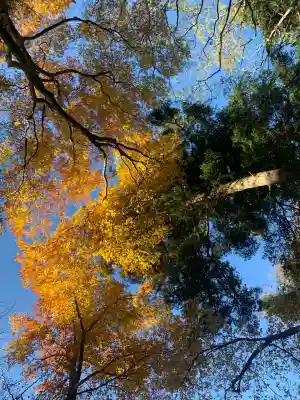 高尾山薬王院(東京都)