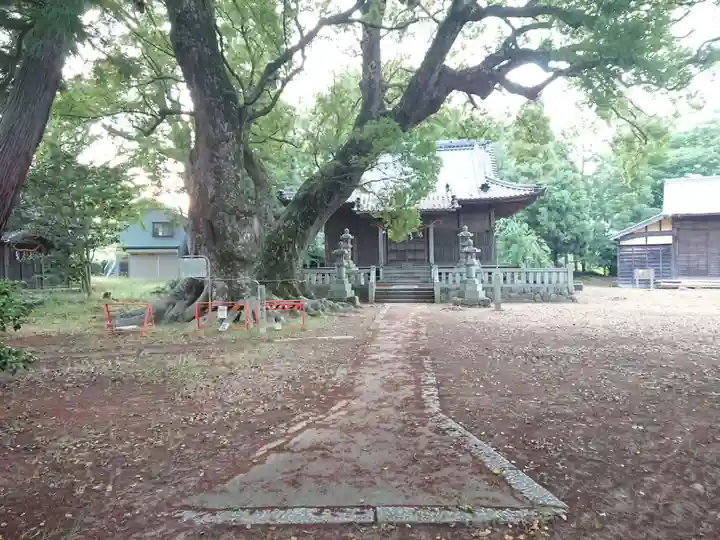 八幡社(赤坂町)の本殿・本堂