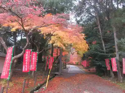 醍醐寺(上醍醐)(京都府)