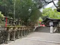 春日大社 若宮(春日若宮)の{uncategorized: "未分類", other: "その他", undefined: "問題あり", building: "その他建物", grave: "お墓", sacred_gate: "鳥居", guardian: "狛犬", statue: "像", buddha: "仏像", history: "歴史", nature: "自然", garden: "庭園", animal: "動物", pagoda: "塔", temizu: "手水舎", mountain_gate: "山門・神門", sanctuary: "本殿・本堂", subordinate: "末社・摂社", art: "芸術", scenery: "景色", jizo: "地蔵", ema: "絵馬", goshuin: "御朱印", omikuji: "おみくじ", items: "授与品その他", amulet: "お守り", goshuincho: "御朱印帳", eats: "食事", festival: "お祭り", votive_dance: "神楽", shichigosan: "七五三参", wedding: "結婚式", experience: "体験その他", initially: "初詣", around: "周辺", anti_infection: "感染症対策"}