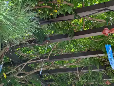 戒光寺（戒光律寺）(京都府)