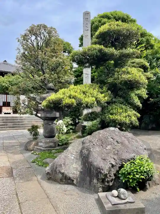 大円寺(東京都)