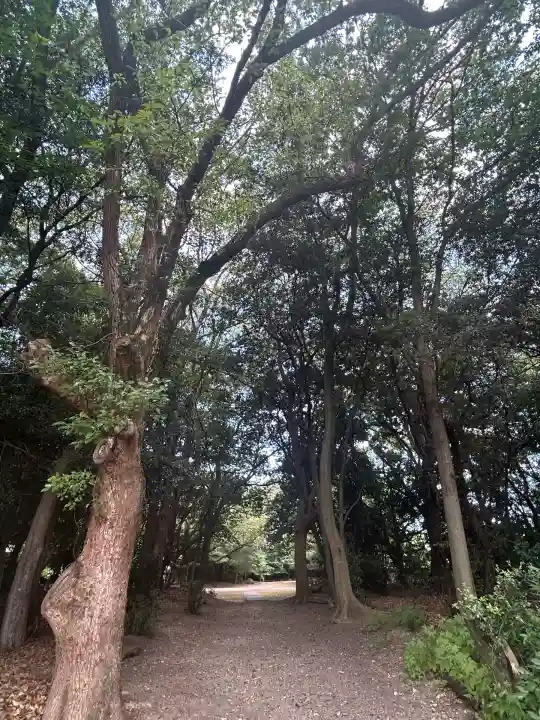 讃岐宮 香川縣護國神社(香川県)