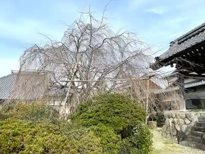 瑞光寺(三重県)