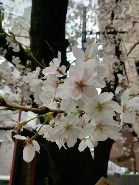 本覚寺(東京都)