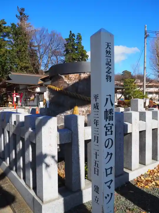 下野國一社八幡宮(栃木県)