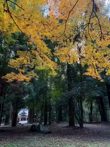 伊和神社(兵庫県)