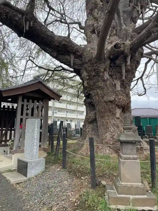 真福寺の{uncategorized: "未分類", other: "その他", undefined: "問題あり", building: "その他建物", grave: "お墓", sacred_gate: "鳥居", guardian: "狛犬", statue: "像", buddha: "仏像", history: "歴史", nature: "自然", garden: "庭園", animal: "動物", pagoda: "塔", temizu: "手水舎", mountain_gate: "山門・神門", sanctuary: "本殿・本堂", subordinate: "末社・摂社", art: "芸術", scenery: "景色", jizo: "地蔵", ema: "絵馬", goshuin: "御朱印", omikuji: "おみくじ", items: "授与品その他", amulet: "お守り", goshuincho: "御朱印帳", eats: "食事", festival: "お祭り", votive_dance: "神楽", shichigosan: "七五三参", wedding: "結婚式", experience: "体験その他", initially: "初詣", around: "周辺", anti_infection: "感染症対策"}