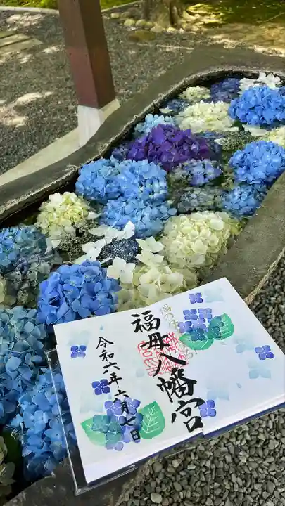 福母八幡宮(佐賀県)