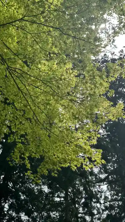 雄山神社中宮祈願殿(富山県)