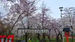 平野神社の自然