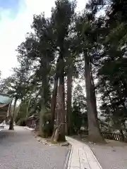 白山比咩神社(石川県)