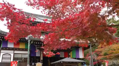 今熊野観音寺のその他建物