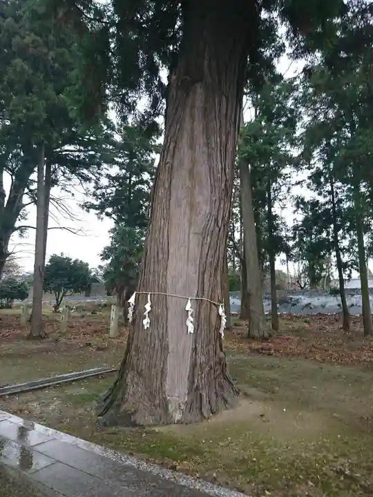 春日神社の自然