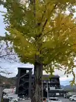 伊達神社(京都府)