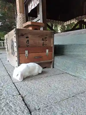 大御和神社(徳島県)