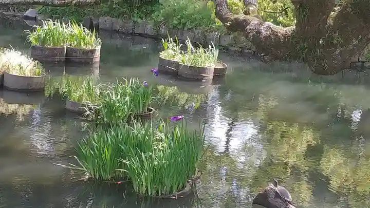 香椎宮(福岡県)