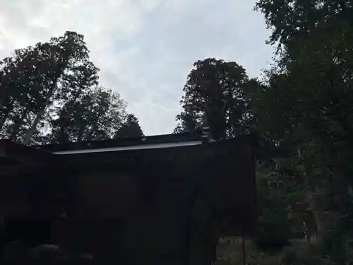 大宮温泉神社(栃木県)