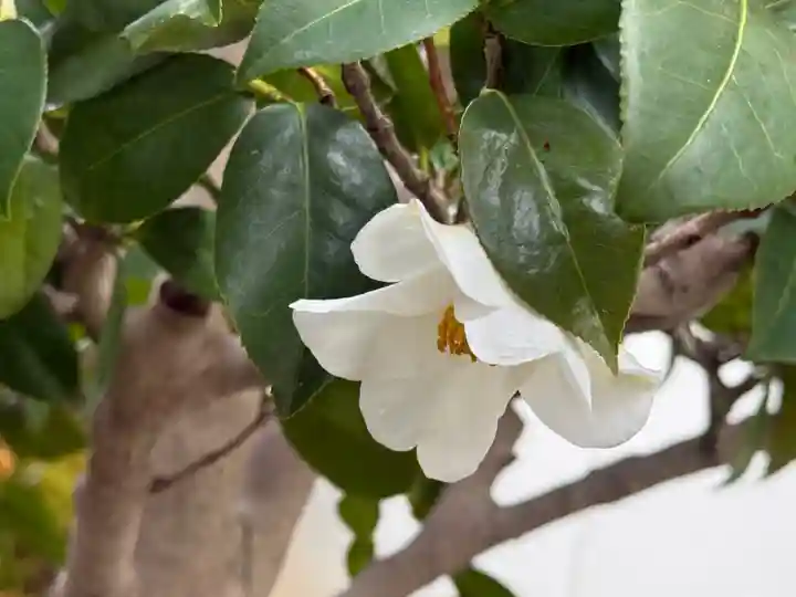 西方山極楽寺(岐阜県)