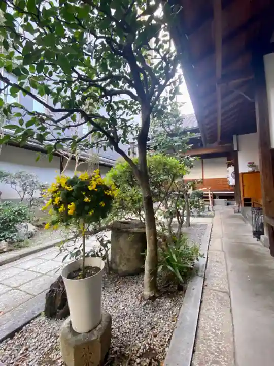 極楽寺(京都府)