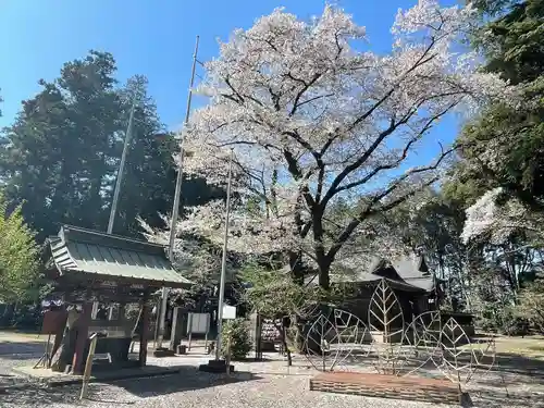 北野天神社(埼玉県)