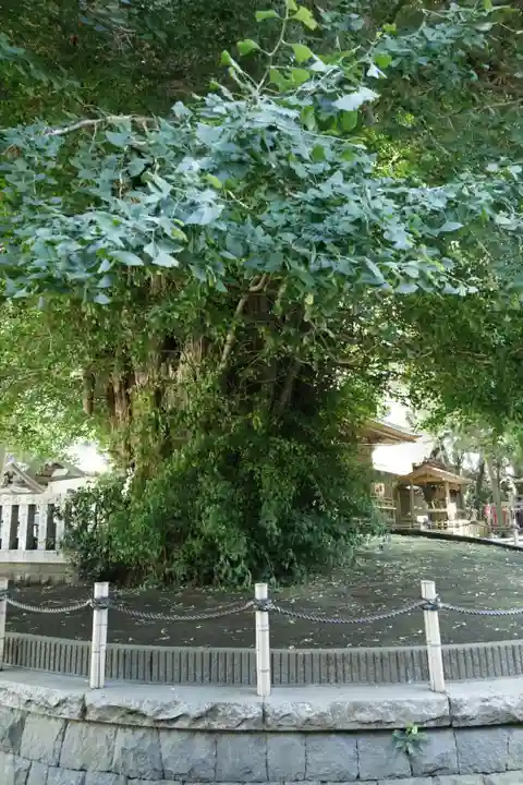 鶴嶺八幡宮(神奈川県)