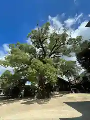 糸碕神社(広島県)