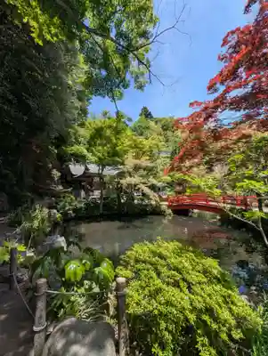 貫井神社(東京都)