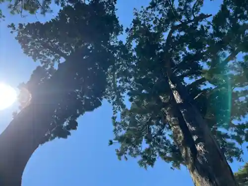 瑞巌寺(宮城県)