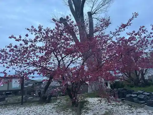 三会温泉神社(長崎県)