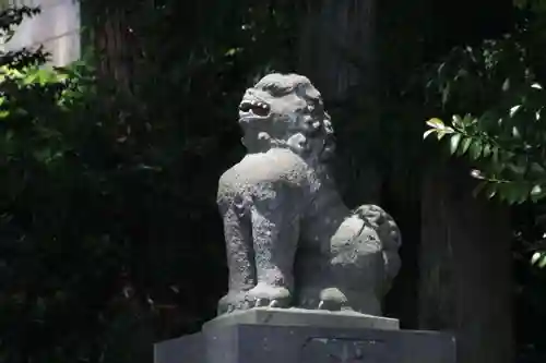 豊景神社の狛犬