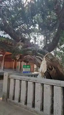 高砂神社(兵庫県)