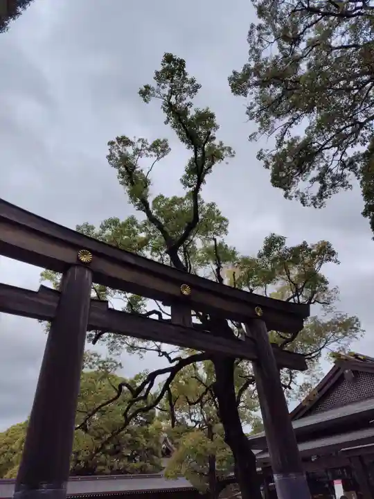 明治神宮(東京都)