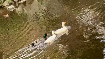平塚八幡宮(神奈川県)