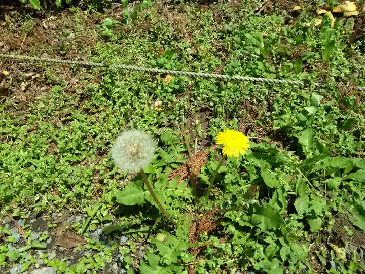 阿蘇神社(熊本県)