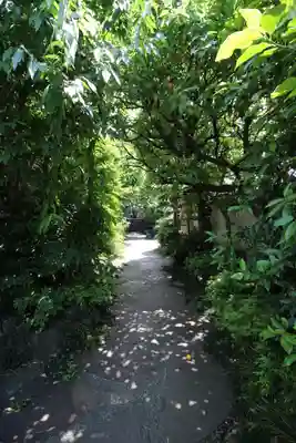 安養院(東京都)