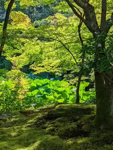 法金剛院(京都府)