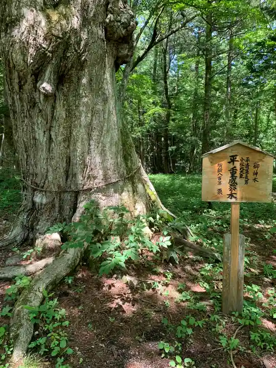 高房神社 上社(栃木県)