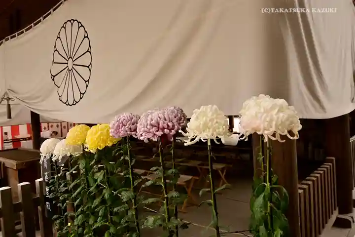 阿佐ヶ谷神明宮(東京都)