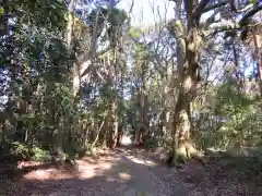 沼尾神社の自然