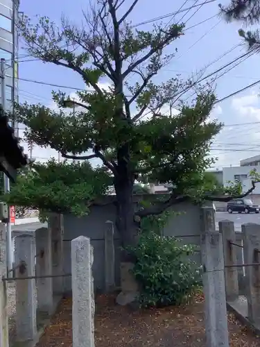 金刀比羅社の自然