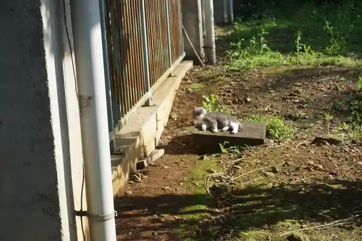 唐澤山神社の動物