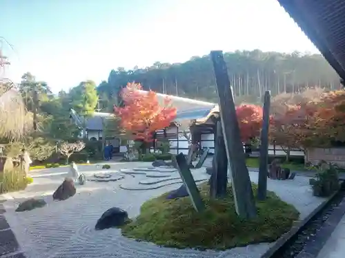 圓光寺の庭園